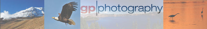 GP-Photography Gallery
