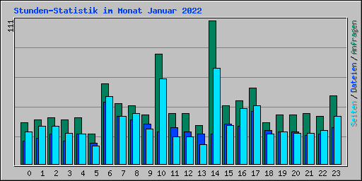 Stunden-Statistik im Monat Januar 2022