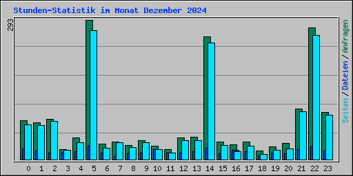 Stunden-Statistik im Monat Dezember 2024