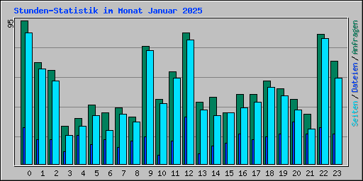 Stunden-Statistik im Monat Januar 2025