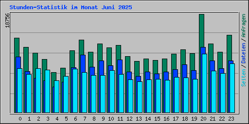 Stunden-Statistik im Monat Juni 2025