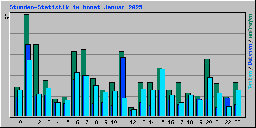 Stunden-Statistik im Monat Januar 2025